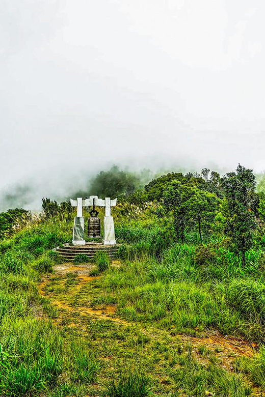 From Da Nang: Bach Ma National Park Trekking - Important Information