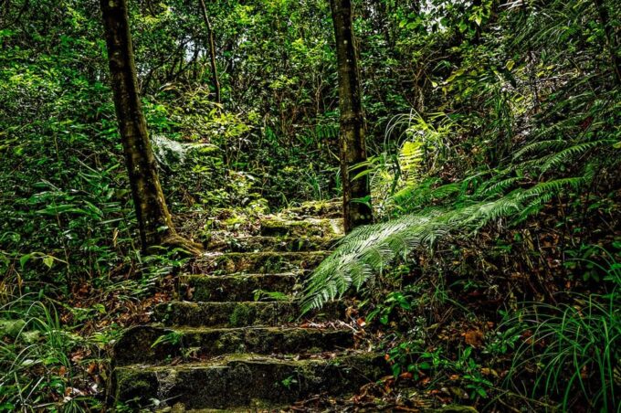 From Da Nang: Bach Ma National Park Trekking - Customer Reviews