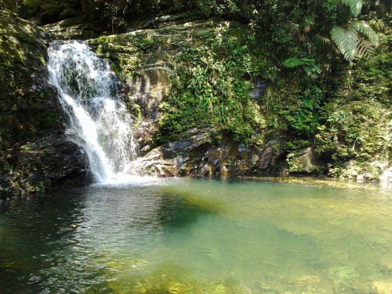 From Da Nang: Bach Ma National Park Trekking - Transportation and Accommodation