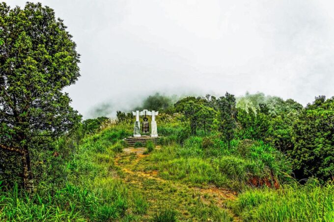From Da Nang: Bach Ma National Park Trekking - Gear and Packing Essentials