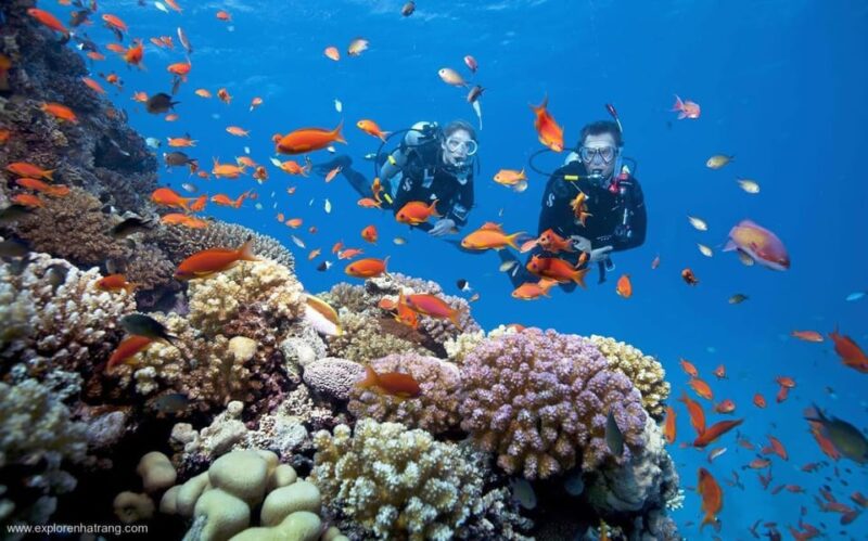 From Da Nang: Cham Island Boat Day Trip With Snorkeling Tour - Key Points
