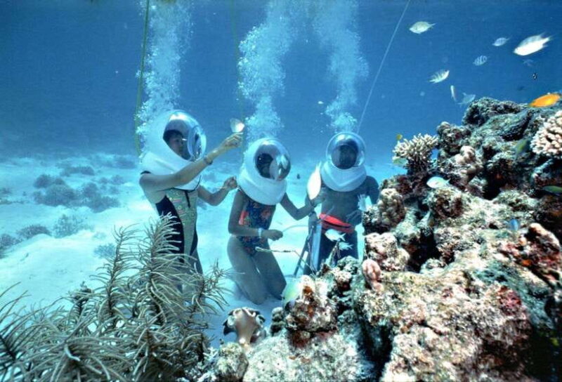 From Da Nang: Cham Island Sightseeing And Snorkeling Tour - Inclusions