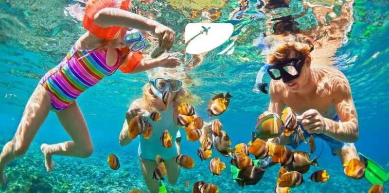 From Da Nang: Cham Island Sightseeing And Snorkeling Tour - Hotel Pickup and Transportation