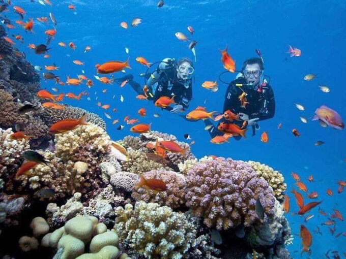 From Da Nang: Cham Island Sightseeing And Snorkeling Tour - Snorkeling Adventure