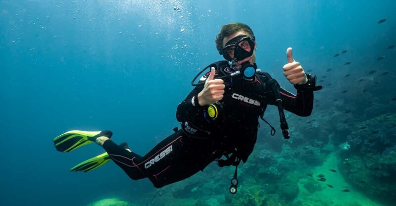 From Da Nang: Cham Island Sightseeing and Snorkeling Tour(L) - Transportation