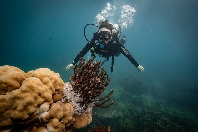 From Da Nang: Cham Island Sightseeing and Snorkeling Tour(L) - Inclusions