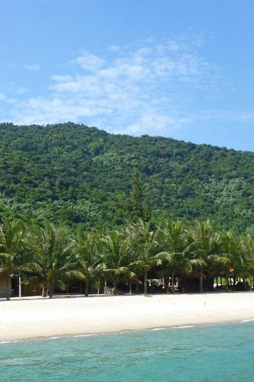 From Da Nang: Cham Island Snorkeling and Beach Day Trip - Speedboat Ride to Cham Island