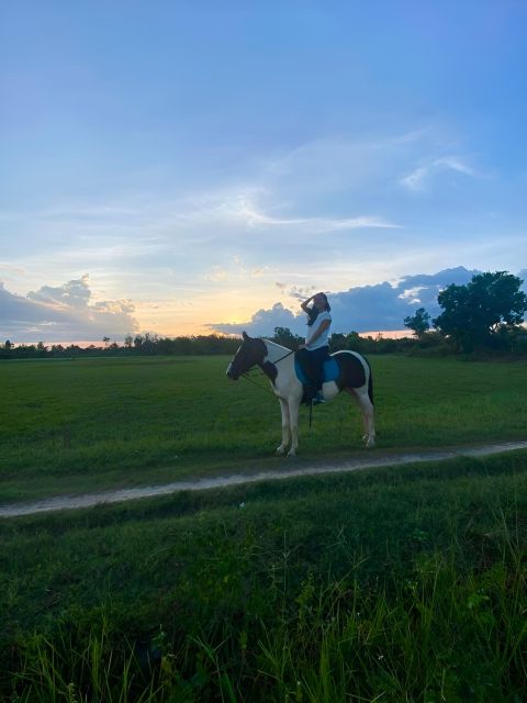 From Da Nang: Half Day Horse Riding and Coconut Boat-Hoi An. - Boat Cruise in Coconut Village