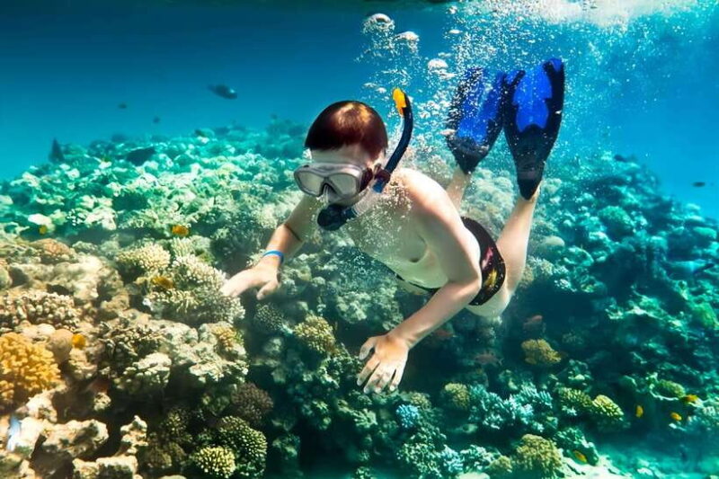 From Da Nang/Hoi An: Cham Islands Tour With Snorkeling - Exploring Lang Island