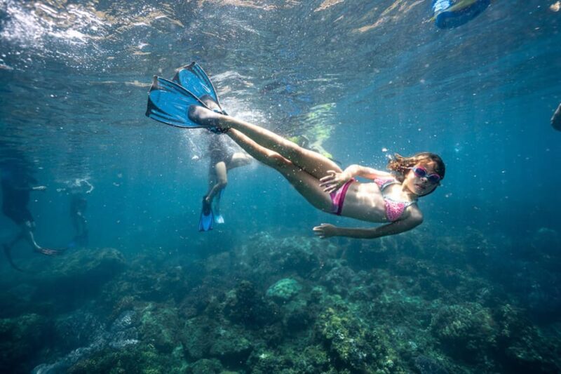 From Da Nang/Hoi An:Cham Island With Snokerling and Diving - Key Points