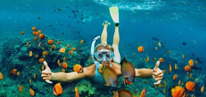 From Da Nang/Hoi An:Cham Island With Snokerling and Diving - Flexible Stop Opportunity