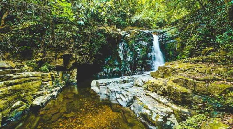 From Da Nang/Hue: Bach Ma National Park Day Trip - Preparation and Recommendations