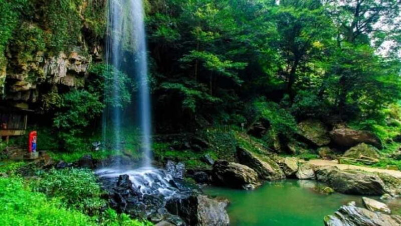 From Da Nang/Hue: Bach Ma National Park Day Trip - Getting to Bach Ma National Park