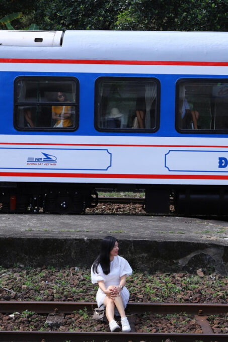 From Da Nang: Hue Imperial Tour by Heritage Train - Tour Options