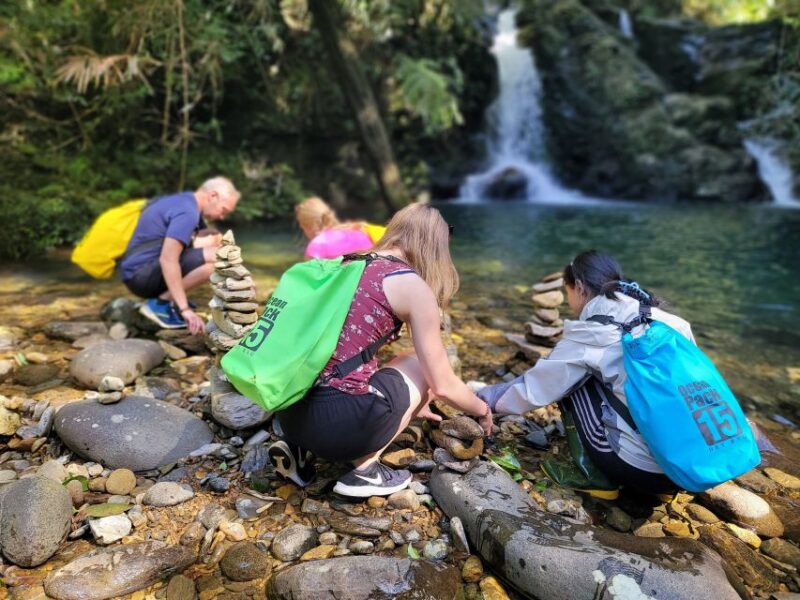 From Da Nang or Hoi An: Bach Ma National Park Trek & Lunch - Key Points