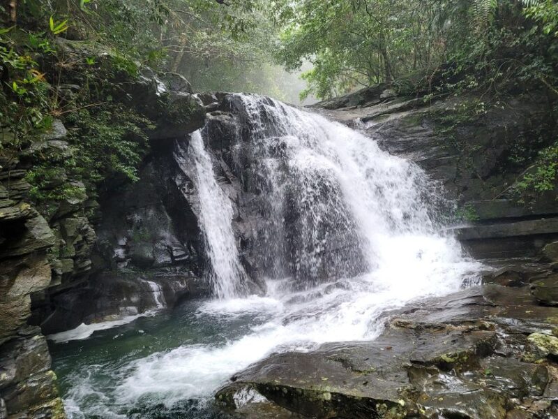 From Da Nang or Hoi An: Bach Ma National Park Trek & Lunch - Highlights of the Tour