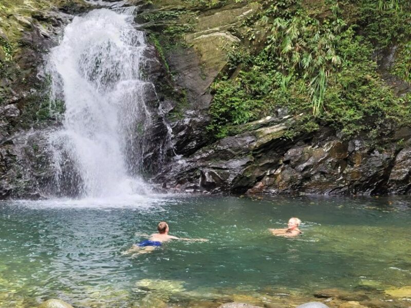 From Da Nang or Hoi An: Bach Ma National Park Trek & Lunch - Important Considerations