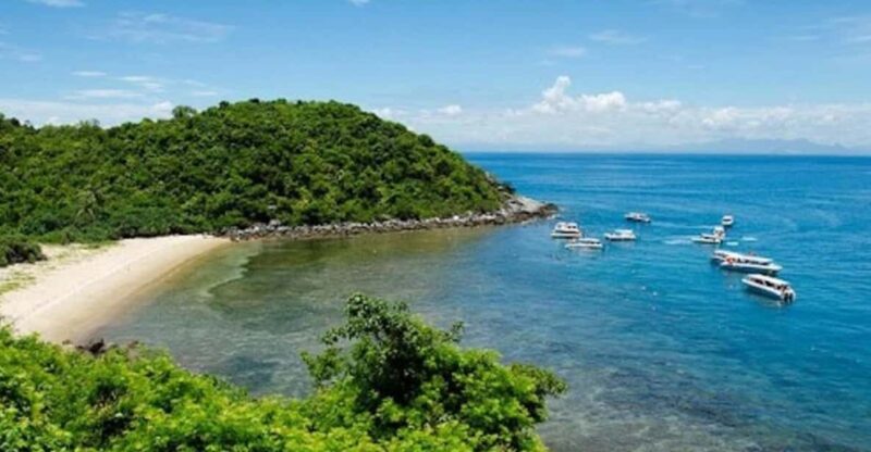 From Da Nang or Hoi An: Cham Island Tour - Activities and Highlights