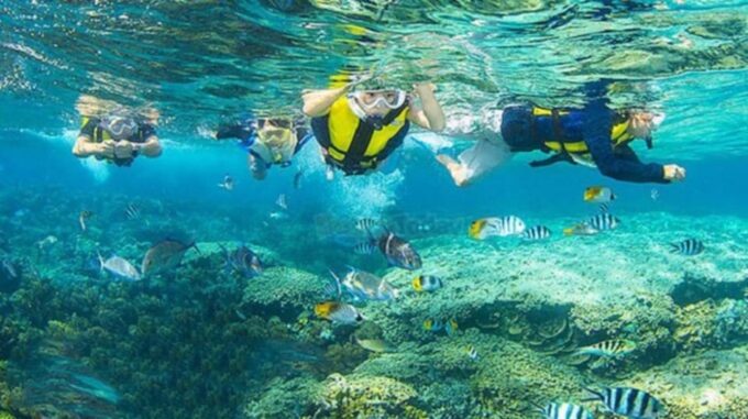 From Da Nang or Hoi An: Cham Island Tour - Additional Information