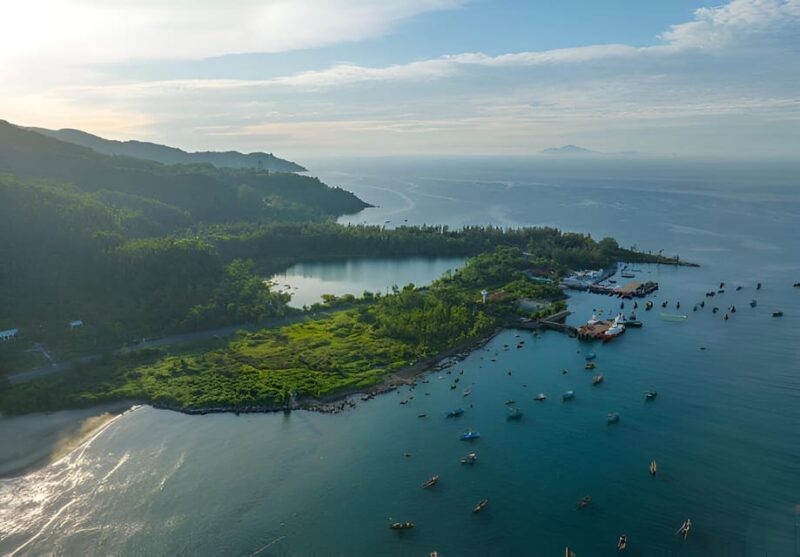 From Da Nang: Wildlife Watching, Douc Langurs Watching - Included and Not Included
