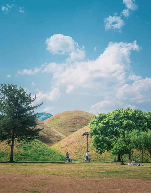 From Daegu: Gyeongju UNESCO Tour 7 Highlights with Bulguksa - Who Will Love This Tour?