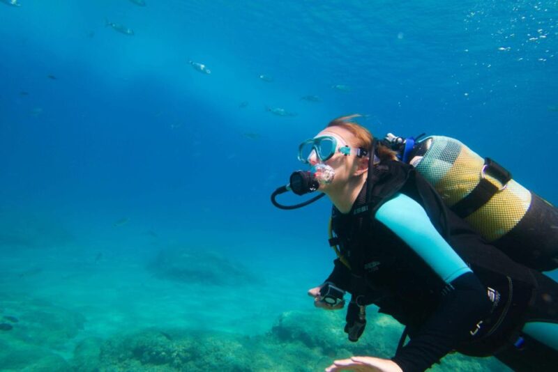 From Dahab: Diving Day Trip at The Canyon and Blue Hole - Rare Marine Life
