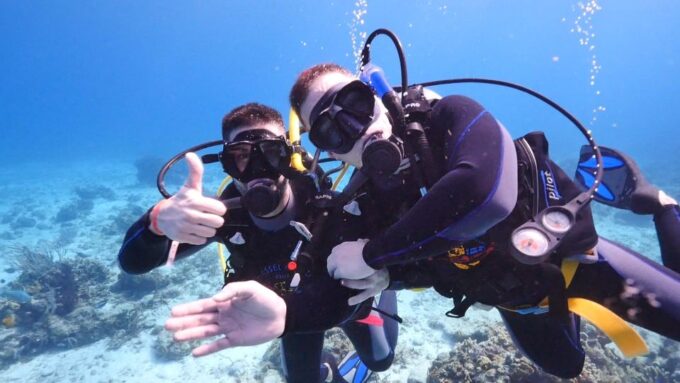 From Dahab: Diving Day Trip at The Canyon and Blue Hole - Experience Requirements