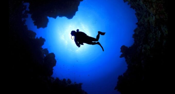 From Dahab: Diving Day Trip at The Canyon and Blue Hole - Customer Feedback
