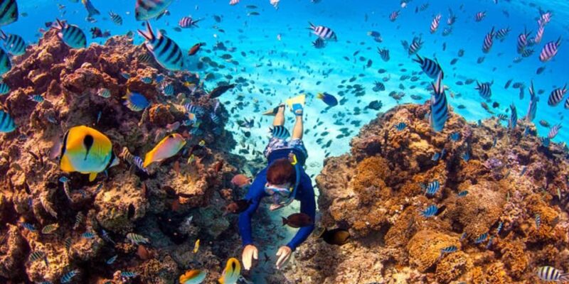 From Dahab: Three Pools Guided Snorkeling Tour With Lunch - Key Points