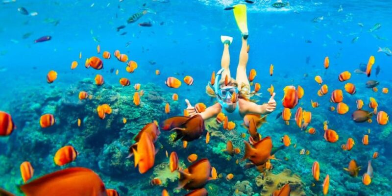 From Dahab: Three Pools Guided Snorkeling Tour With Lunch - Customer Feedback