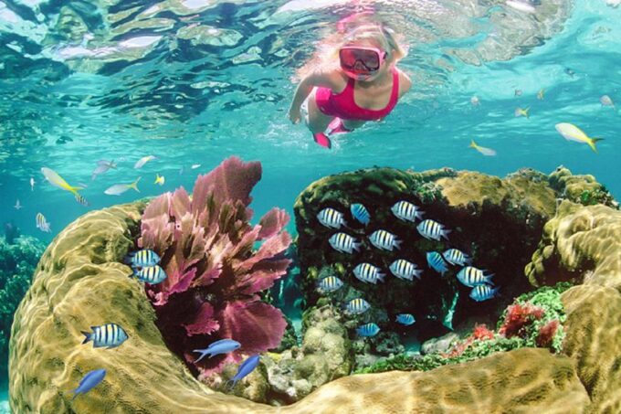 From Dahab: Three Pools Guided Snorkeling Tour With Lunch - Booking Information