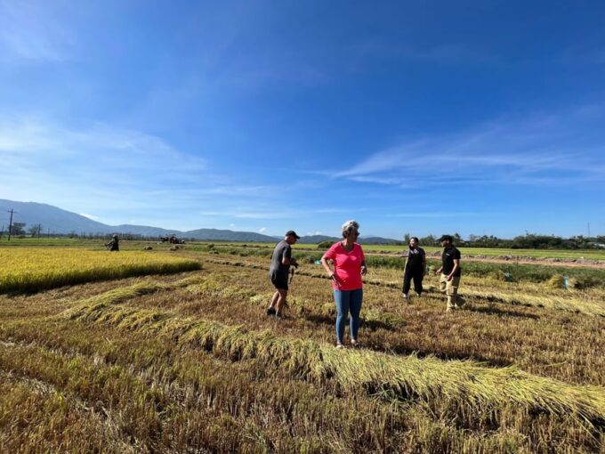 From Dalat: 6-Day Central Highland to Hoi An - Lak Lake and Elephant Waterfall