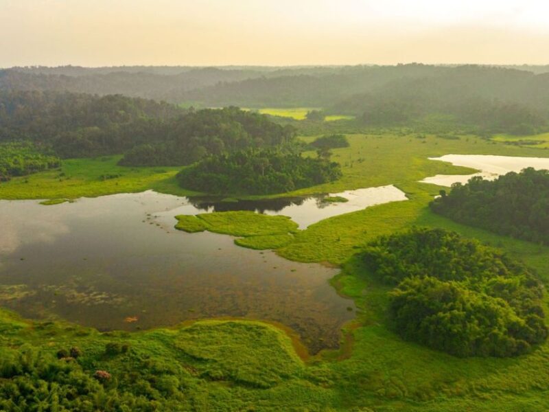 From Dalat to Cat Tien National Park, Drop-Off in Ho Chi Minh City - Highlights