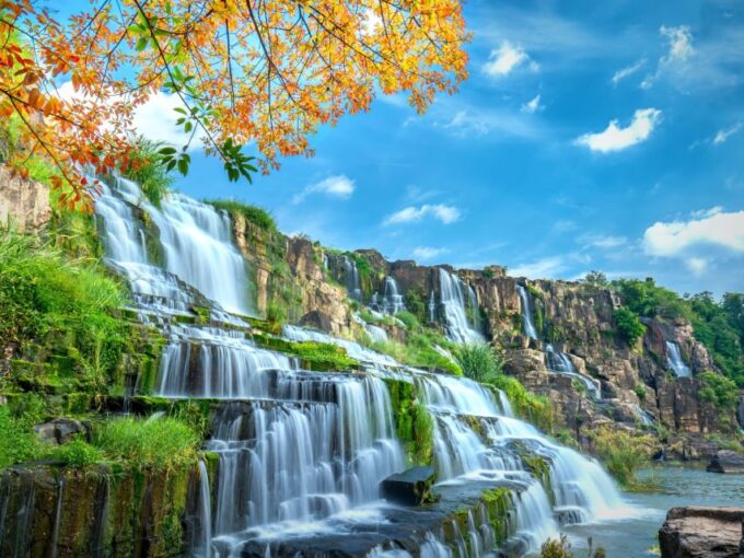 From Dalat to Cat Tien National Park, Drop-Off in Ho Chi Minh City - Private Group Experience