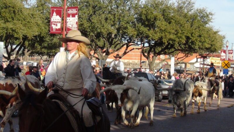 From Dallas: Fort Worth Guided Day Tour - Key Points
