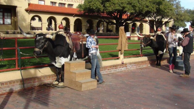 From Dallas: Fort Worth Guided Day Tour - Customer Reviews