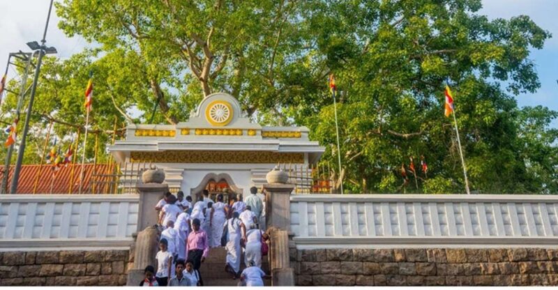 From Dambulla: Guided Tour to Ancient City of Anuradhapura - Transportation and Convenience