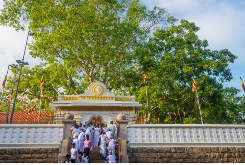 From Dambulla: Guided Tour to Ancient City of Anuradhapura - Refreshments and Additional Inclusions