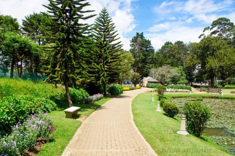 From Dambulla: Kandy Day Trip - Important Information