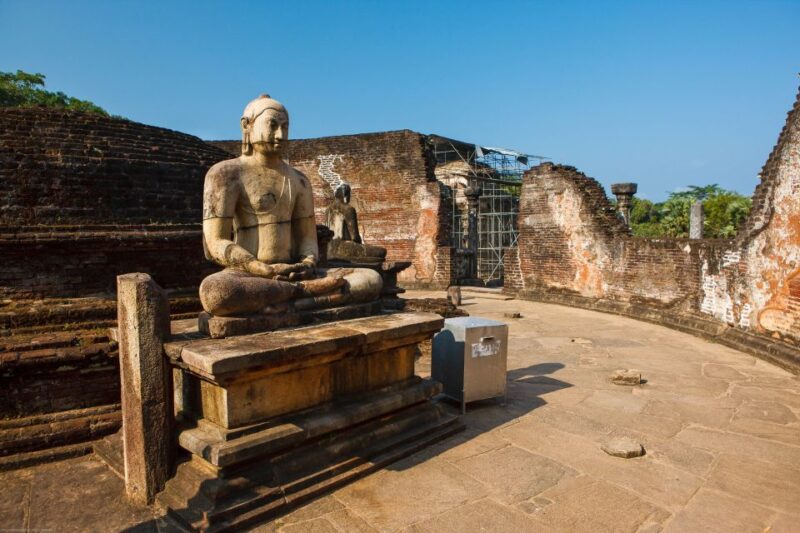 From Dambulla: Private Polonnaruwa and Minneriya Day Tour - Key Points