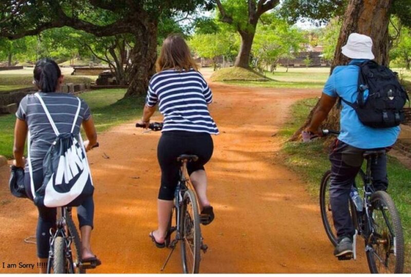 From Dambulla/Sigiriya: Ancient City of Anuradhapura by Bike - Key Points
