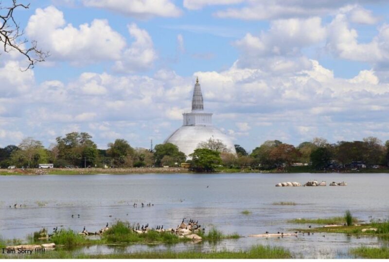 From Dambulla/Sigiriya: Ancient City of Anuradhapura by Bike - Historical Sites