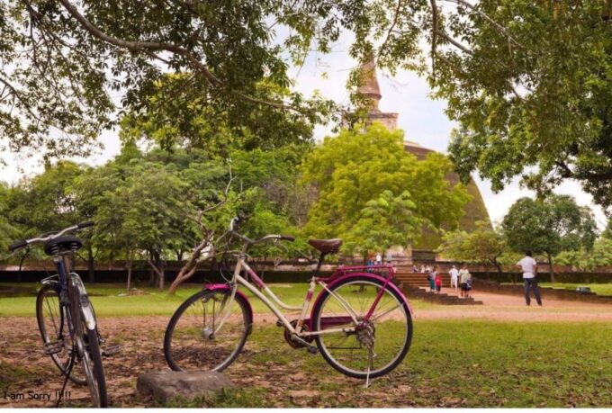 From Dambulla/Sigiriya: Ancient City of Anuradhapura by Bike - Highlights