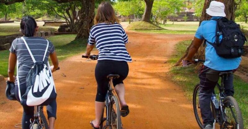 From Dambulla/ Sigiriya: Ancient City of Polonnaruwa by Bike - Transportation and Pickup Details