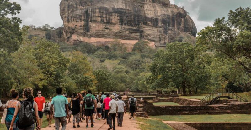 From Dambulla: Sigiriya Rock, Village, and Minneriya Tour - Key Points