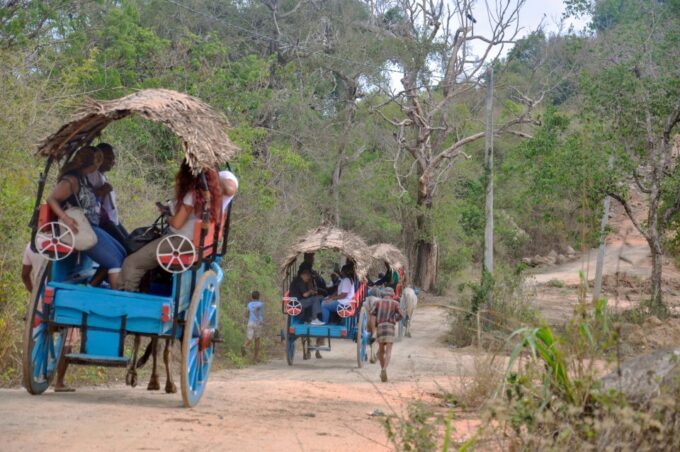 From Dambulla: Sigiriya Rock, Village, and Minneriya Tour - Inclusions