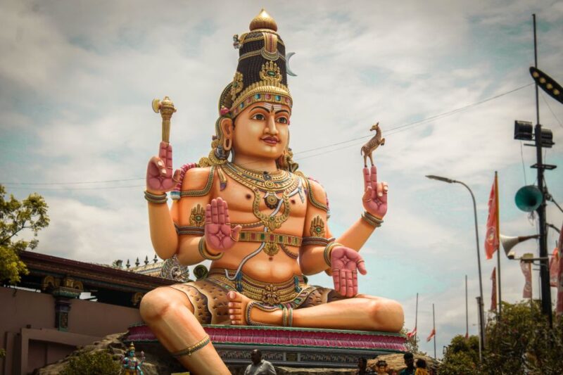 From Dambulla: Trincomalee Sightseeing Tour - Pigeon Island National Park