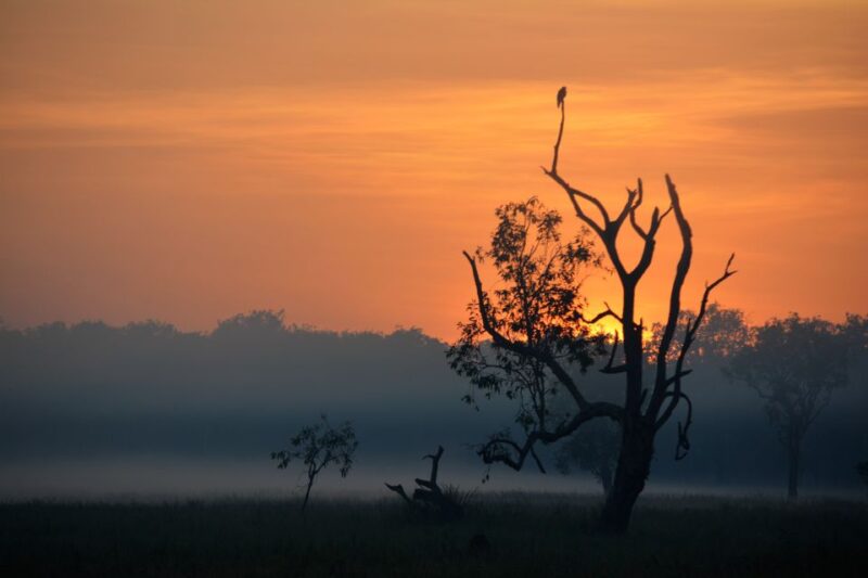From Darwin: 2-Day Kakadu Tour With Hotel, Cruise & Rock Art - Scenic Flight Adventure