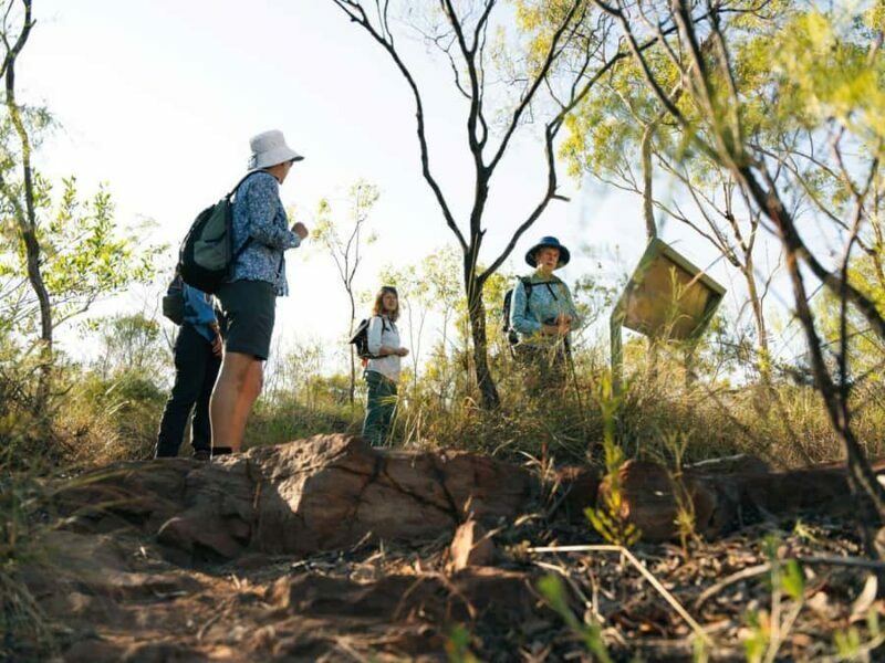 From Darwin: 4-Day Kakadu, Katherine & Litchfield Explorer - Day 1: From Darwin to Litchfield’s Waterfalls