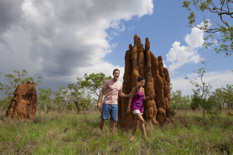 From Darwin: Kakadu National Park Full Day Tour - Key Highlights of the Tour